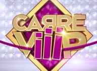 Carré Viiip : Le CSA convoque TF1 et Endemol... Beaucoup de bruit pour rien ?