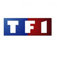 Après le fiasco de Carré ViiiP, TF1 s'agite autour de ses nouvelles émissions !