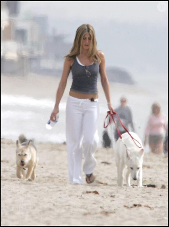 Jennifer Aniston s'est fait tatouer Norman, le nom de son chien mort, à l'intérieur du pied droit, en hommage ! Ici à la plage. 