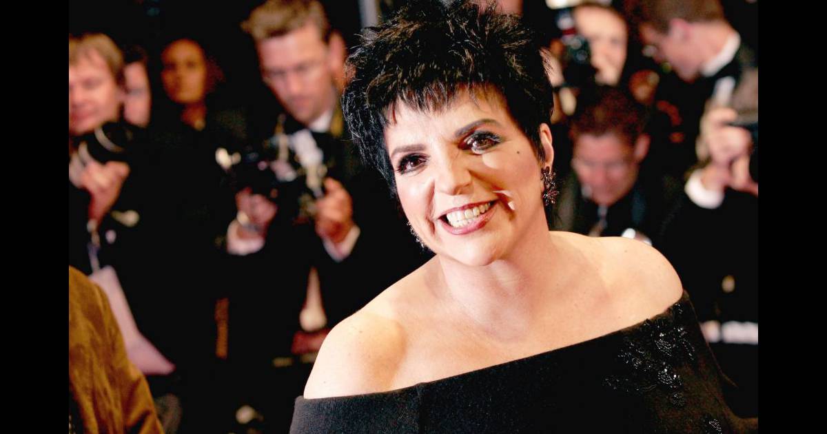 liza minelli interview liza minelli interview