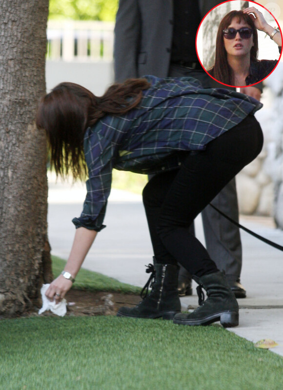 Leighton Meester ramasse la défection de son chien à Los Angeles, lundi 10 octobre 2011.