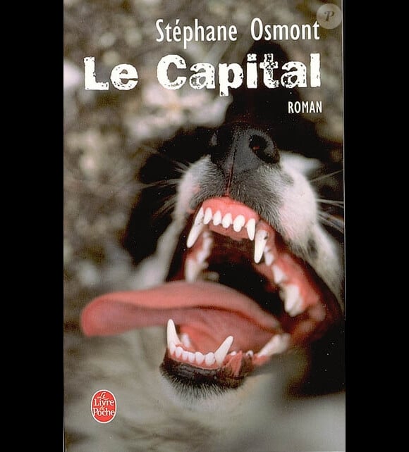 Le livre Le Capital, de Stéphane Osmont.