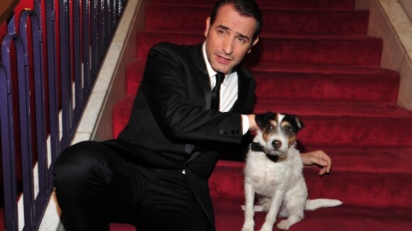 Uggie, le chien de The Artist : L'autre star qui détrônerait Jean Dujardin ?