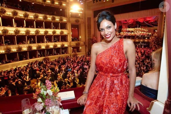 Rosario Dawson avait une vue imprenable sur le 56e Bal de l'Opéra de Vienne.
Comme chaque année, de nombreuses célébrités et personnalités ont assisté en toute élégance au 56e Bal de l'Opéra de Vienne, le 16 février 2012.