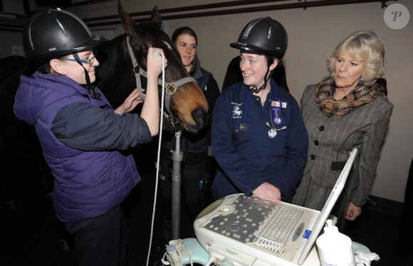 Camilla Parker Bowles en visite à l'école vétérinaire de l'Université de Bristol en tant que patronne du Langford Trust for Animal Health and Welfare, le 23 février 2012.