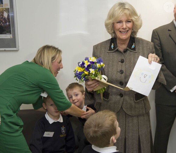 Camilla Parker Bowles inaugurait le 23 février 2012 un nouveau centre de soins intensifs néo-nataux à l'hôpital de Bath.