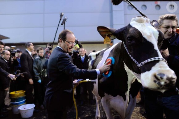François Hollande au Salon de l'Agriculture de Paris, le 28 février 2012.
