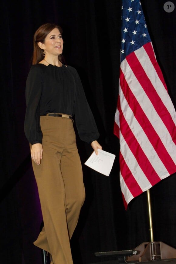 Mary de Danemark ouvrait le 27 février 2012 la 2e Conférence mondiale sur les Foyers d'hébergement pour femmes victimes de violences, à Washington. Un des principaux champs d'action de sa fondation, Mary Fonden.