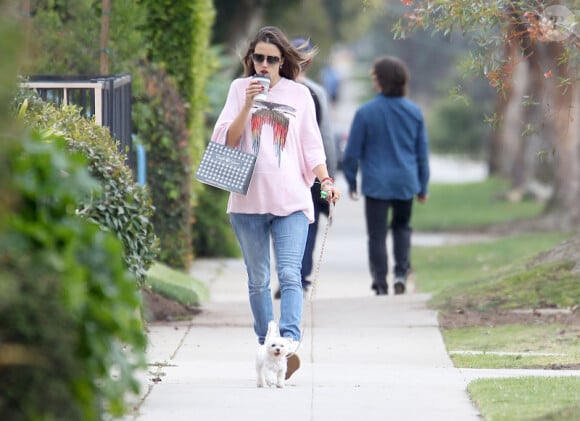 Alessandra Ambrosio promène son chien à Santa Monica, le mercredi 29 février 2012.