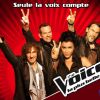 Jenifer, Florent Pagny, Garou et Louis Bertignac dans The Voice : la plus belle voix (sur TF1 dès le 25 février 2012)