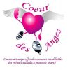 L'association Coeur des Anges partennaire dans Les Anges de la télé-réalité 4 sur NRJ 12 à partir du 16 avril 2012