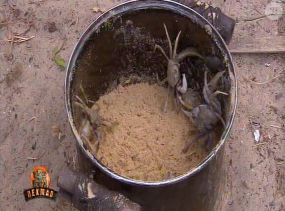 Des crabes dans Koh Lanta, la revanche des héros, le 6 avril 2012 sur TF1
