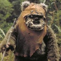 Star Wars : L'acteur derrière l'Ewok accusé d'exhibitionnisme