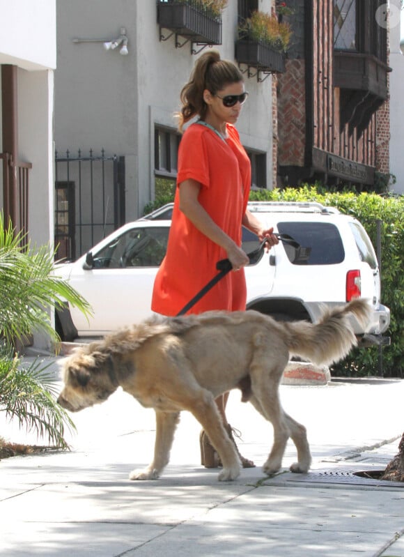 Eva Mendes s'occupe de la promenade matinale du chien de Ryan Gosling dans les rues de Los Angeles le 2 août 2012