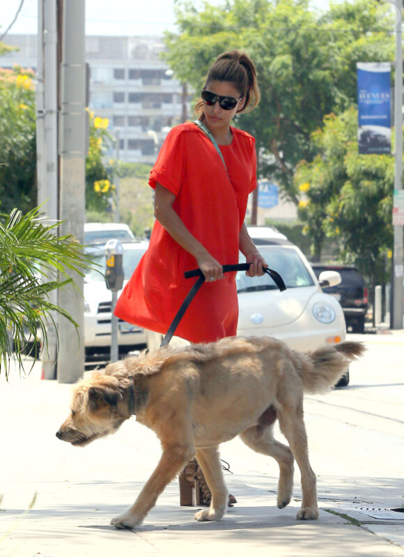 Eva Mendes promène le chien de Ryan Gosling dans les rues de Los Angeles le 2 août 2012