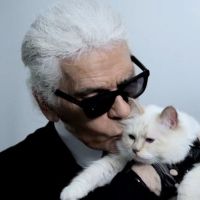 Karl Lagerfeld : Sa nouvelle muse, Choupette, est un chat gâté et maniéré