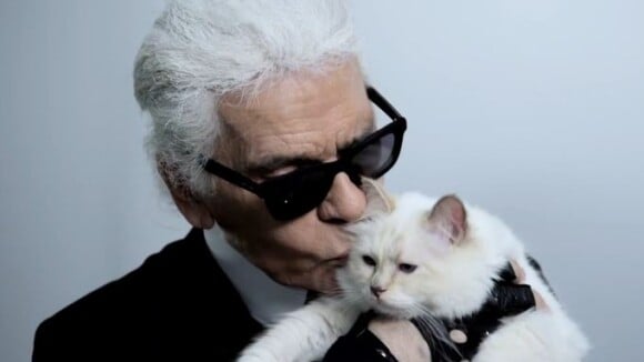 Karl Lagerfeld : Sa nouvelle muse, Choupette, est un chat gâté et maniéré
