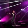 Johnny Hallyday en concert au Stade de France, le 17 juin 2012.