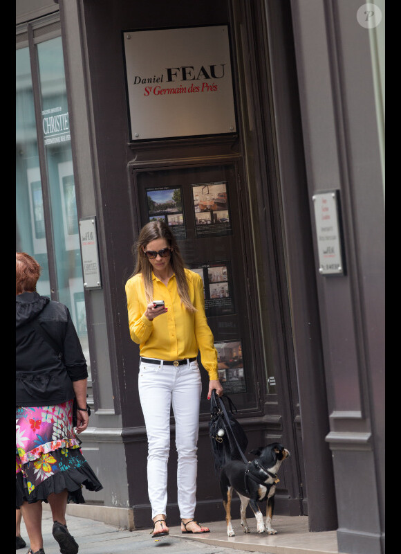 Hilary Swank promène son chien à Paris, en juin 2012.