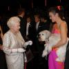 Elizabeth II, fan des chiens, était servie ! 100e gala du Royal Variety au Royal Albert Hall, à Londres, le 19 novembre 2012, en présence de la reine Elizabeth II et du prince Philip.