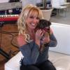 Britney Spears présente sa chienne Hannah