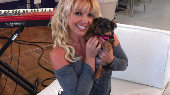 Britney Spears échange des messages sur Twitter avec sa chienne !