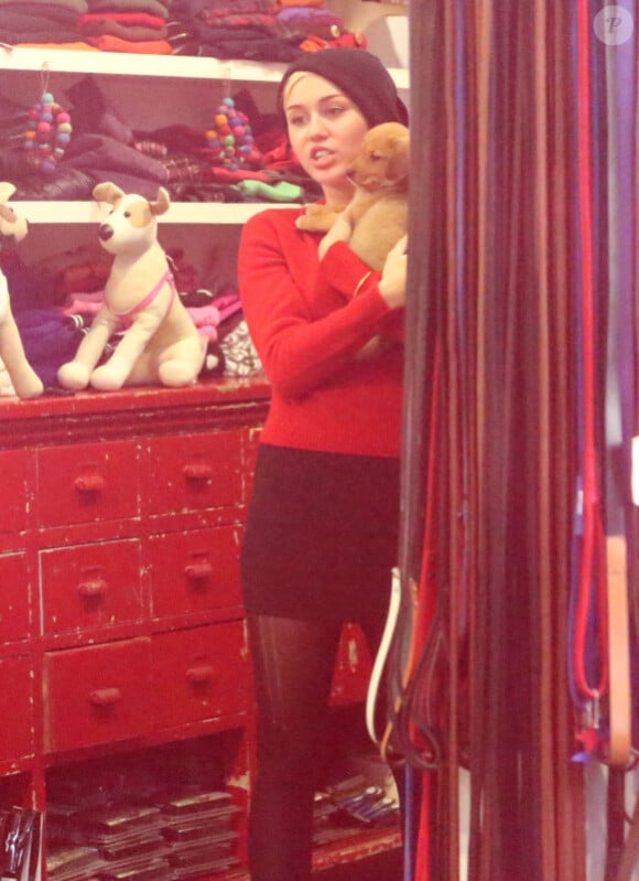 Miley Cyrus se rend dans une animalerie avec sa soeur Noah et sa mere Leticia à Los Angeles le 26 Novembre 2012.
