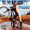 La pochette de C'mon Let Me Ride, nouveau single de Skylar Grey extrait de l'album Don't Look Down dont la sortie est fixée au printemps 2013.