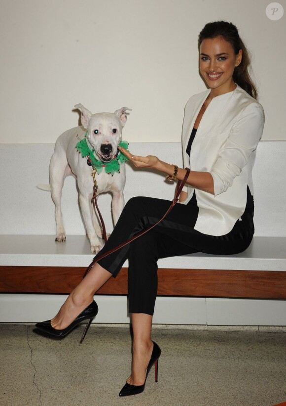 Le top model Irina Shayk, tombée sur le charme de "Lady" au Centre d'Adoption de l'association ASPCA à New York, oeuvre pour le bien-être des animaux. Le 14 décembre 2012.