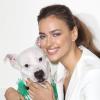 Irina Shayk, souriante au Centre d'Adoption de l'association ASPCA, oeuvre pour le bien-être des animaux et de Lady, nom du dogue argentin dont elle est tombée sous le charme. New York, le 14 décembre 2012.