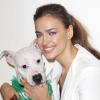 Irina Shayk milite en faveur de l'adoption des animaux au centre d'adoption de l'association ASPCA . New York, le 14 décembre 2012.