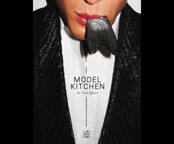 Couverture du livre Model Kitchen