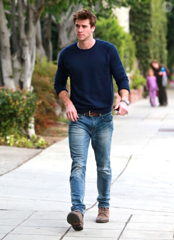 Liam Hemsworth (Photo du 15 novembre 2012)