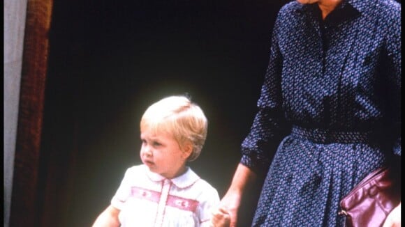 Kate Middleton et le prince William : Une nounou moderne demandée pour leur bébé