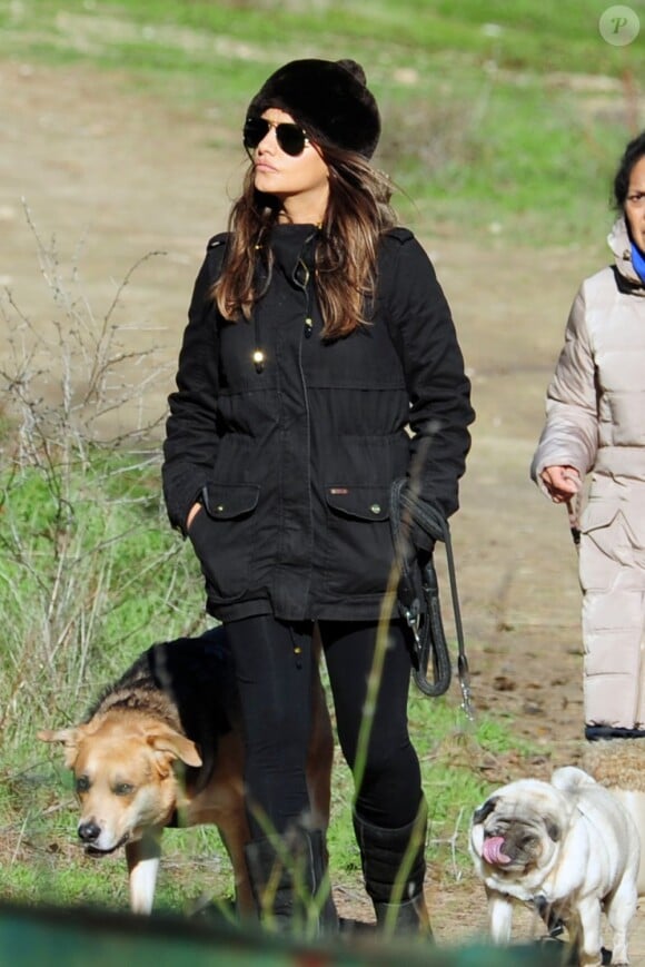 Exclusif - Monica Cruz, elle aussi enceinte, promène ses chiens à Madrid le 21 Janvier 2013.