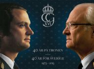 Carl XVI Gustaf de Suède, 40 ans de règne en 2013 : Le roi ouvre les festivités