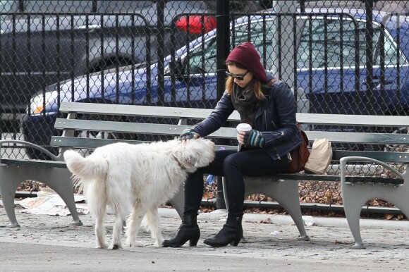 Olivia Wilde passe un instant avec son chien Paco à Chelsea, quartier de New York, le 16 février 2013