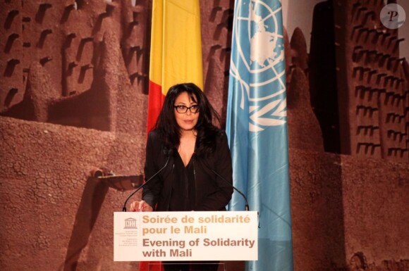 Exclusif - Yamina Benguigui (ministre déléguée en charge des Français de l'étranger et de la Francophonie) à la soirée de solidarité pour le Mali à l'Unesco à Paris, le 18 février 2013. La ministre s'est exprimée sur la destruction du patrimoine culturel du pays et l'aide de la France.