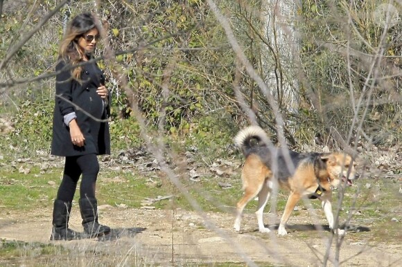 Monica Cruz, enceinte, se promène avec ses chiens à Madrid, le 20 février 2013.