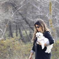 Monica Cruz : Bien enceinte et rayonnante, elle prend l'air avec ses chiens