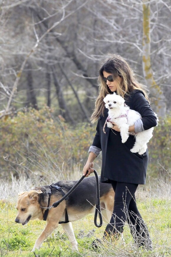 Monica Cruz, enceinte, elle prend l'air avec ses chiens à Madrid, le 20 février 2013.