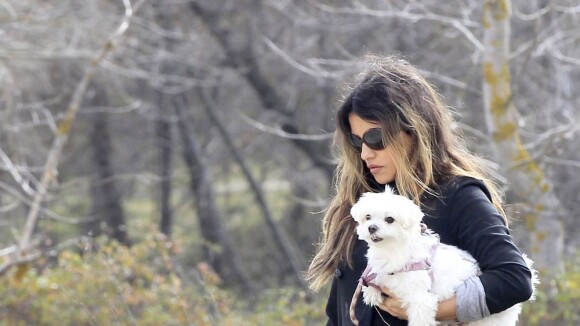 Monica Cruz : Bien enceinte et rayonnante, elle prend l'air avec ses chiens