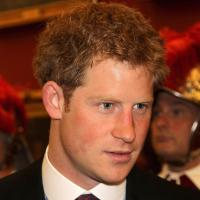 Prince Harry : Sur les traces de Lady Di, il poursuit son dernier combat