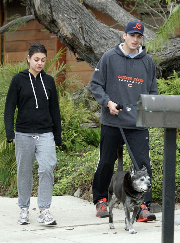 Exclu - Ashton Kutcher et Mila Kunis promènent leur chien a Hollywood, le 12 décembre 2012.