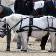 Le prince Philip, duc d'Edimbourg au deuxième jour du Windsor Horse Show, le 9 mai 2013 