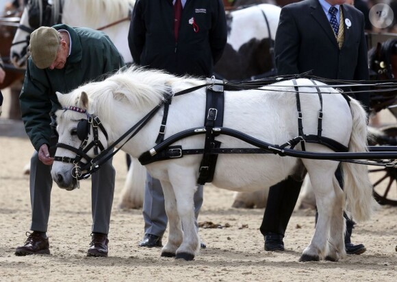 Le prince Philip, duc d'Edimbourg au deuxième jour du Windsor Horse Show, le 9 mai 2013