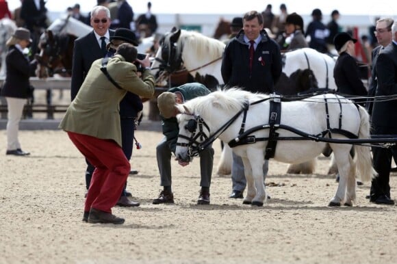Le prince Philip, duc d'Edimbourg au deuxième jour du Windsor Horse Show, le 9 mai 2013
