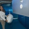Une rencontre sans danger avec un grand blanc... La princesse Marie de Danemark inaugurait le 16 mai 2013 à l'aquarium de Grenaa la nouvelle attraction 'Havet in action' (La mer en action).