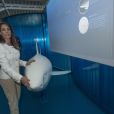  Une rencontre sans danger avec un grand blanc... La princesse Marie de Danemark inaugurait le 16 mai 2013 à l'aquarium de Grenaa la nouvelle attraction 'Havet in action' (La mer en action). 