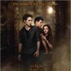 Affiche de Twilight - Chapitre 2 : Tentation.
